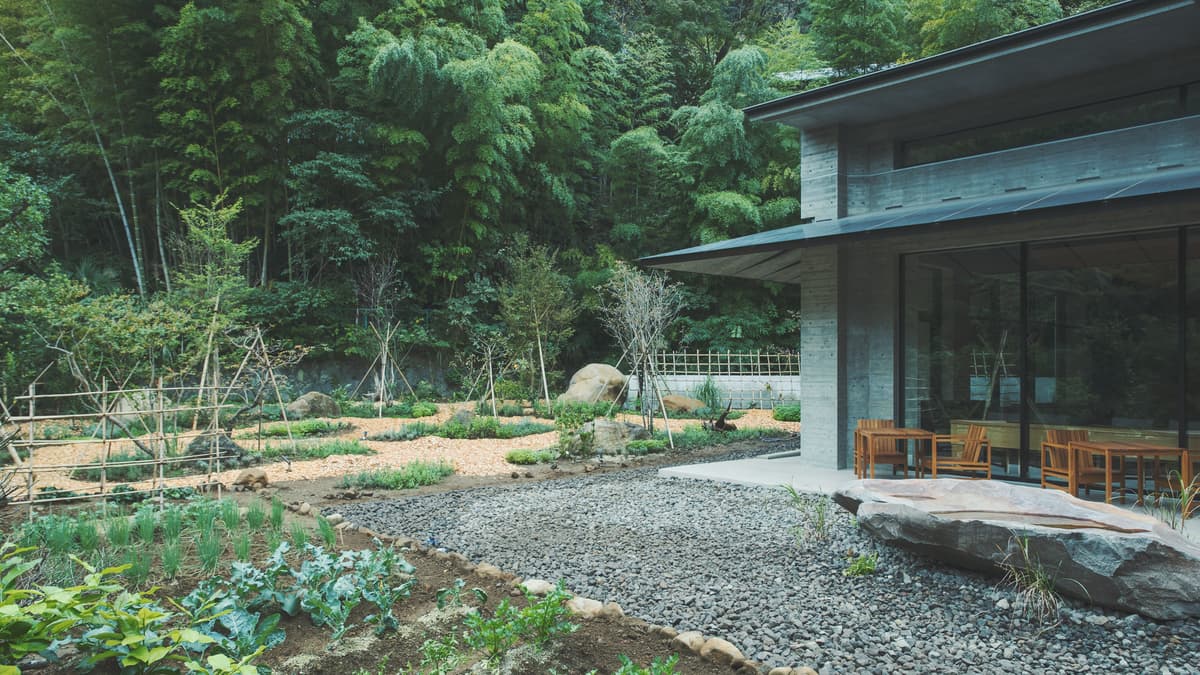 SOKI ATAMI