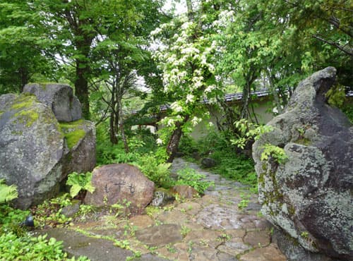 もずも
